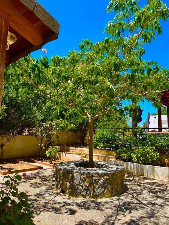 Cherrywood Creta Apartment Ierápetra Eksteriør bilde