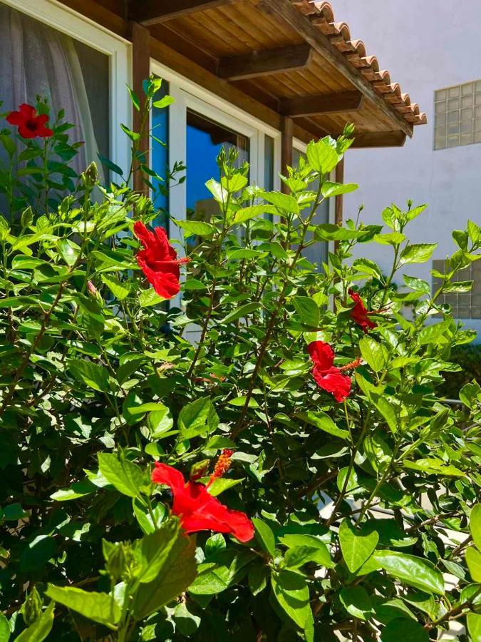 Cherrywood Creta Apartment Ierápetra Eksteriør bilde